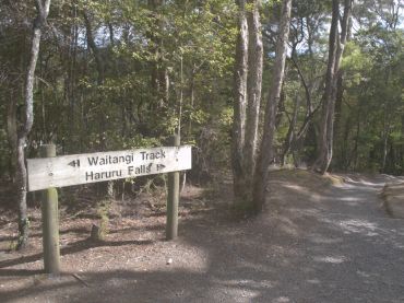 Waitangi Track